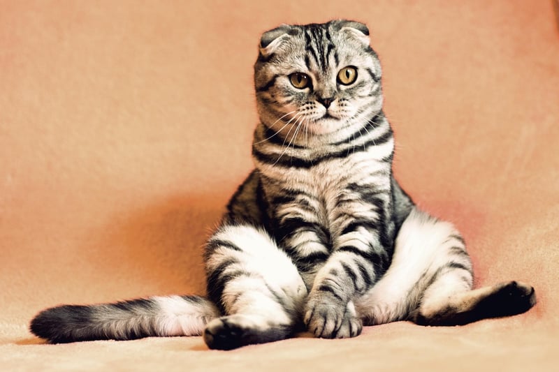 Relaxation Image